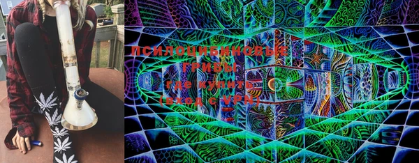 прущие крисы Балабаново