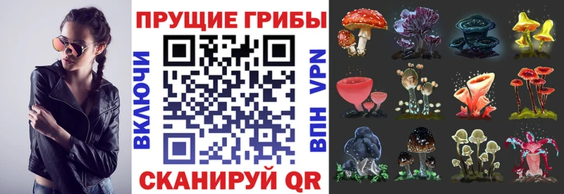 Галлюциногенные грибы мухоморы  купить наркотики цена  Гдов 